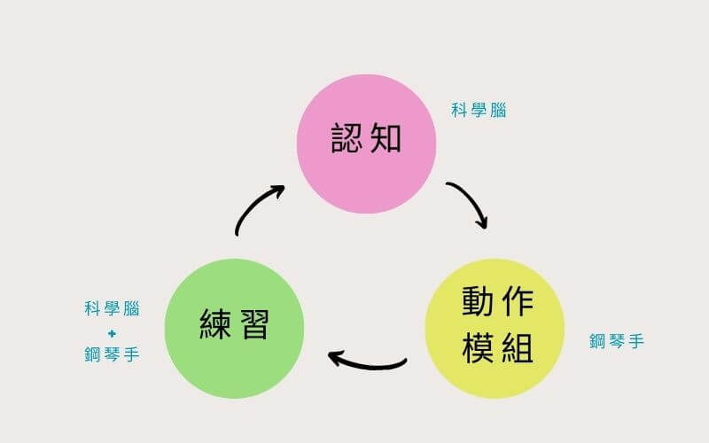 成人如何學鋼琴,Debbie's音樂實驗室:科學腦與鋼琴手